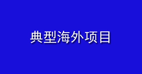 典型海外項(xiàng)目