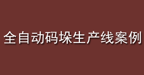 全自動(dòng)碼垛生產(chǎn)線案例 