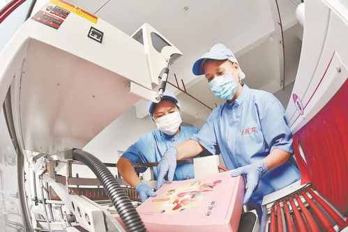 古田 工廠化生產(chǎn)食用菌